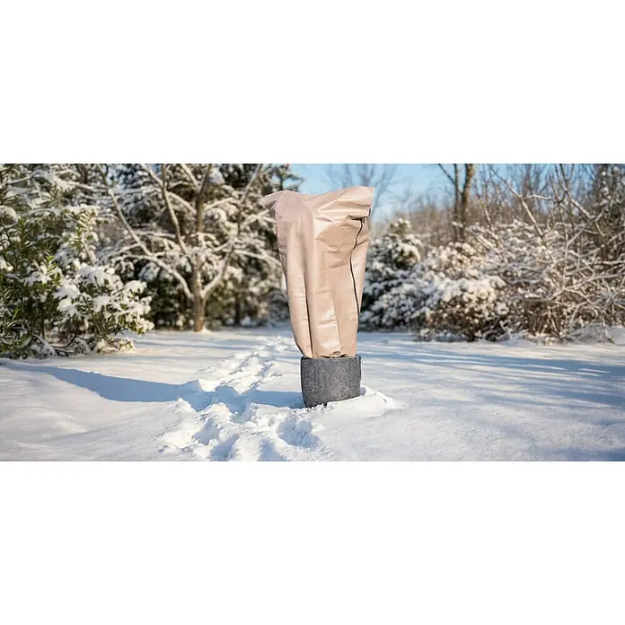 Winterschutzhaube Superprotect - L x H: 180 x 240 cm - Beige Pflanzenhülle schützt Topfpflanze im verschneiten Garten.