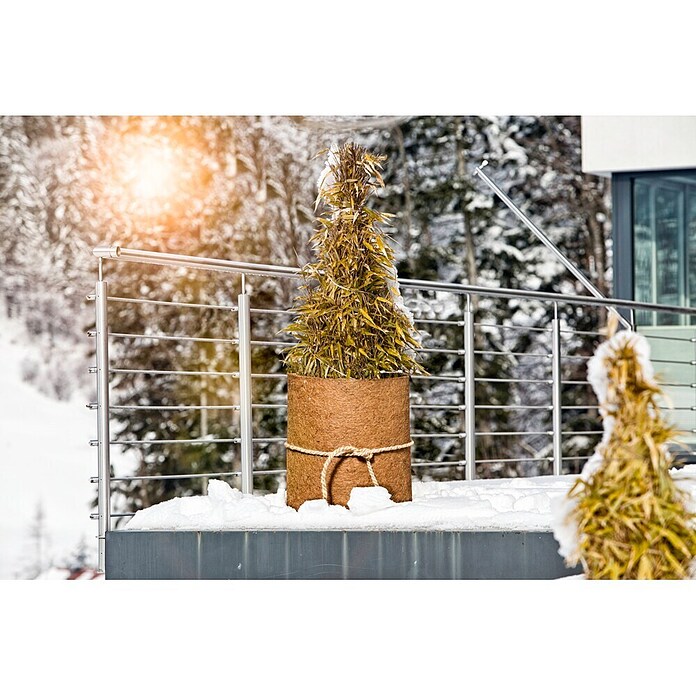 Windhager Winterschutz (B x L: 1 x 1,5 m, Kokosfaser, Braun) | BAUHAUS