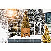 Windhager Winterschutz (B x L: 1 x 1,5 m, Kokosfaser, Braun) | BAUHAUS
