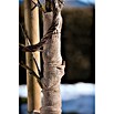 Windhager Jute-Gewebematte Wickelstreifen (L x B: 25 m x 10 cm, Natur)