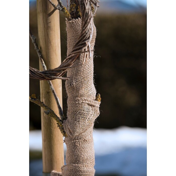 Windhager Jute-Gewebematte Wickelstreifen (L x B: 25 m x 10 cm, Natur)