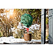 Windhager Winterschutzvlies (L x B: 10 x 1,6 m, Grün, Grammatur: 30 g/m²)