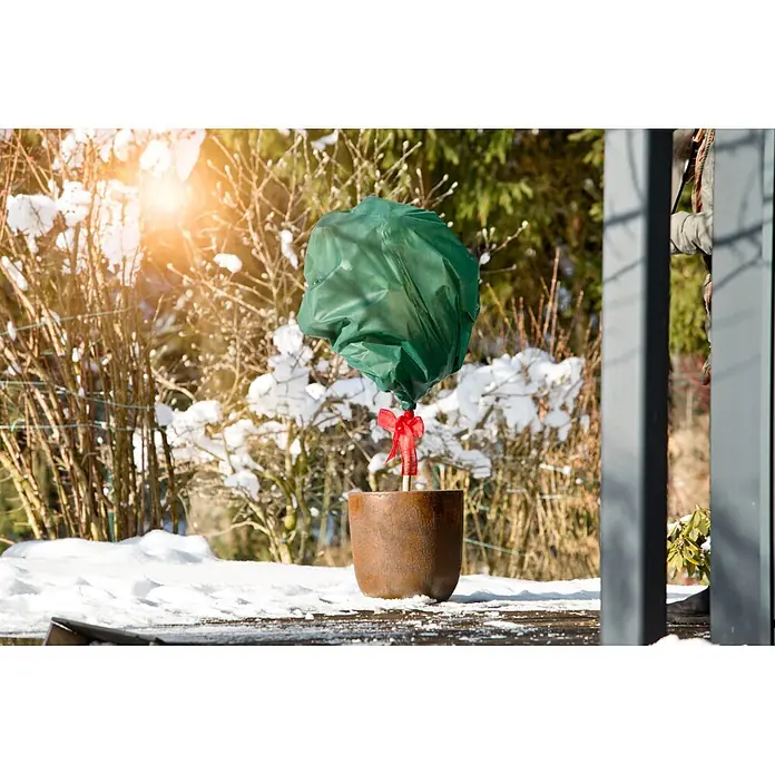 Windhager Winterschutzvlies - L x B: 10 x 1,6 m, Grün, Grammatur: 30 g/m² - Topfpflanze mit dunkelgrünem Winterschutz und rotem Band im Schnee.