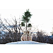 Windhager Gartensack Jute (L x B: 110 x 100 cm, Natur)