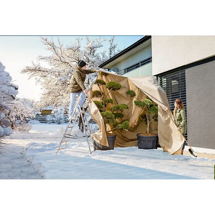 Windhager Winterschutzvlies - L x B: 3,9 x 3,5 m, Beige, 100 g/m² - Beigefarbene Pflanzenschutzhülle wird über zwei große Topfbäume in einem verschneiten Wintergarten installiert.