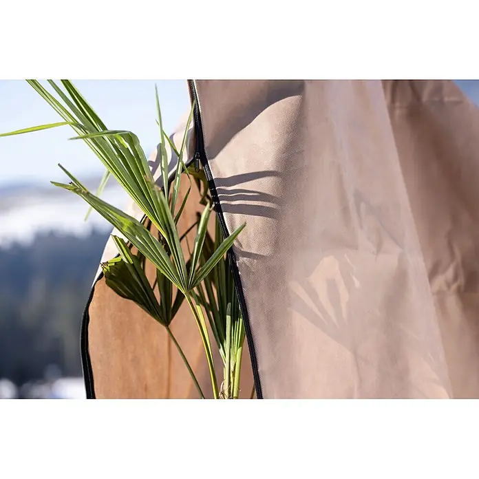 Winterschutzhaube Superprotect - L x H: 180 x 240 cm - Beige Pflanzenabdeckung aus Stoff mit Reißverschluss, schützt eine grüne Palmenpflanze.