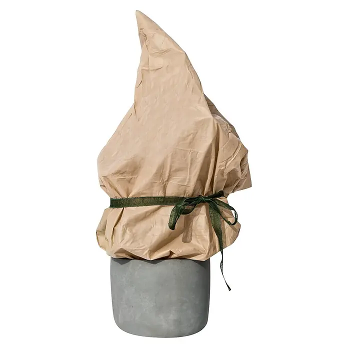 Windhager Winterschutzvlies - L x B: 5 x 1,5 m, Beige, Grammatur: 30 g/m² - Beiger konischer Pflanzenschutzüberzug mit dunkelgrünem Band, auf grauem Pflanzgefäß.