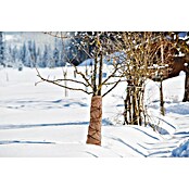 Windhager Winterschutzvlies Superprotect (L x B: 3 x 1,5 m, Beige, Grammatur: 70 g/m²)