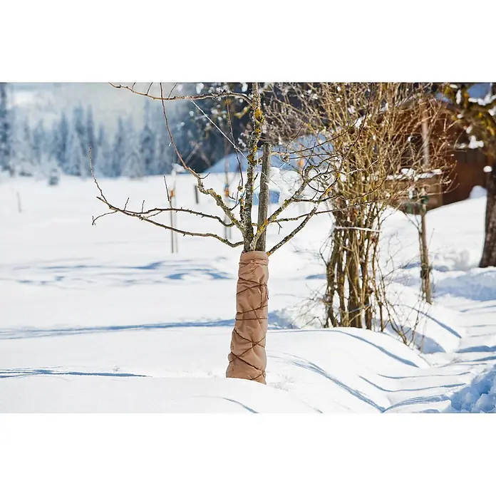 Windhager Winterschutzvlies - L x B: 3 x 1,5 m, Beige, Grammatur: 70 g/m² - Beiger Stammschutz aus Stoff schützt einen Baumstamm in verschneiter Winterlandschaft.