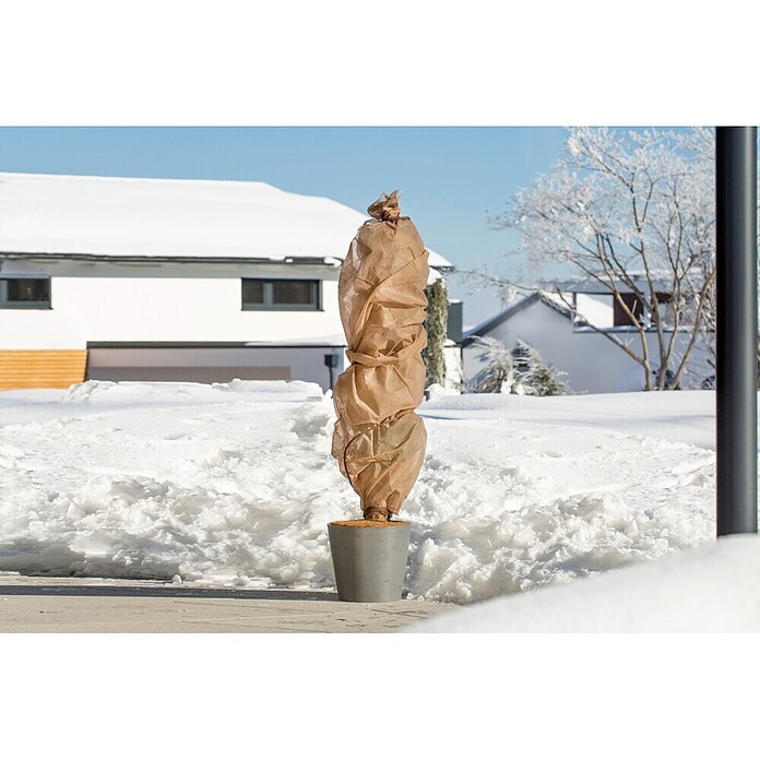 Windhager Winterschutzvlies (L x B: 5 x 1,5 m, Beige, 25 g/m², 1 Stk.)