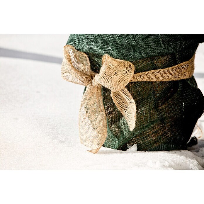 Windhager Jute-Gewebematte Wickelstreifen (L x B: 25 m x 10 cm, Natur)