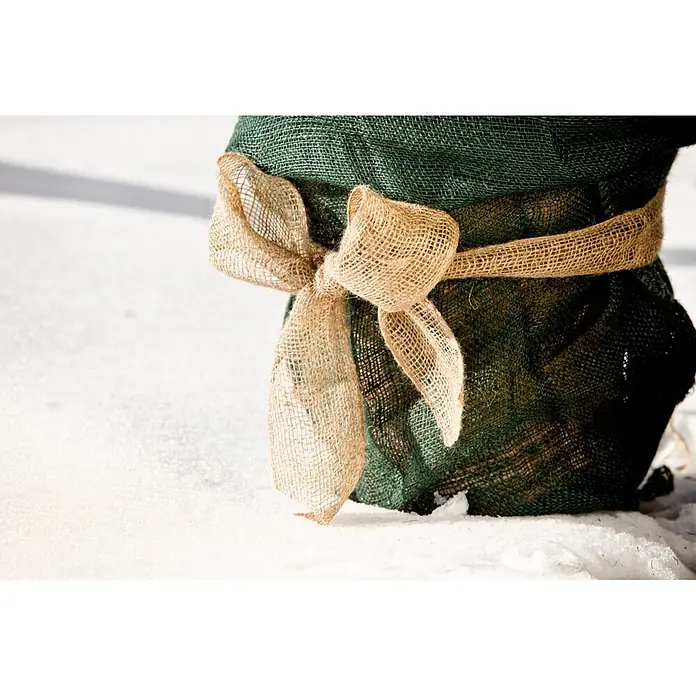 Windhager Jute-Gewebematte - L x B: 25 m x 10 cm, Beige - Dunkelgrüner Maschen-Winterschutz mit natürlicher Juteschleife im Schnee.