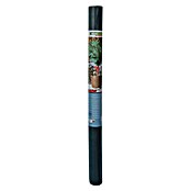 Windhager Winterschutzvlies (L x B: 10 x 1,6 m, Grün, Grammatur: 30 g/m²)