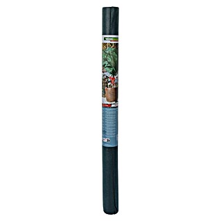 Windhager Winterschutzvlies (L x B: 10 x 1,6 m, Grün, Grammatur: 30 g/m²)