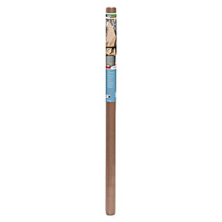 Windhager Winterschutzvlies Protect (L x B: 5 x 2 m, Beige, Grammatur: 30 g/m²)