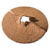 Windhager Kokosmulchscheibe Cocodisc (Durchmesser: 25 cm, Natur)