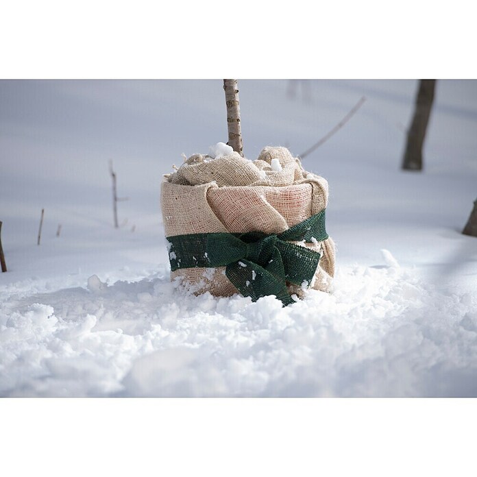 Windhager Jutegewebeband (Grün, L x B: 3 m x 6 cm)