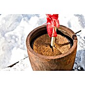 Windhager Kokosmulchscheibe Cocodisc (Durchmesser: 25 cm, Natur)