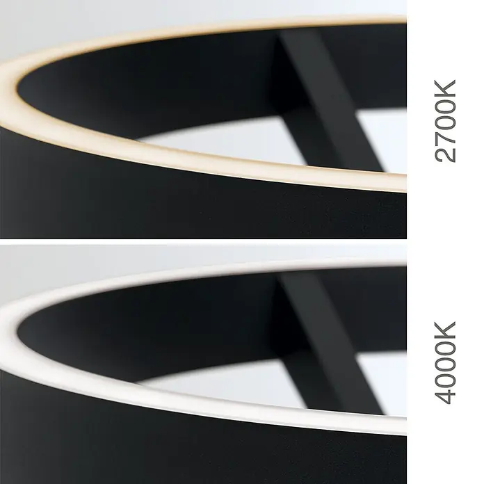 Orion Leuchten LED-Stehleuchte - 40 W, Höhe: 180 cm - Schwarze ringförmige LED-Leuchte zeigt 2700K warmweißes und 4000K kaltweißes Licht.