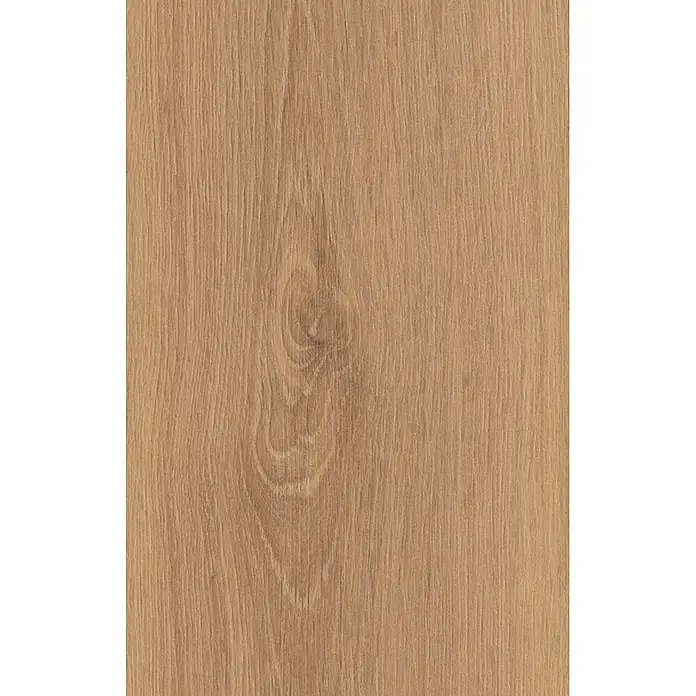 Krono Original Laminat Atlantic 8 - Natural Parioli Oak, Landhausdiele, 1.288 x 195 x 8 mm - Hellebraune Eichenholzstruktur mit Maserung und Ast.