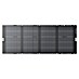 EcoFlow Solarmodul ECO400WSOLAR 