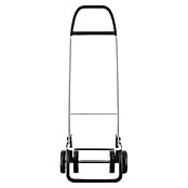Rolser Carro de la compra Akanto MF 4 (L x An x Al: 41 x 117 x 56 cm, Capacidad de carga: 40 kg, Morado) | BAUHAUS