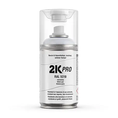 2K Pro  Farbspray 2 Komponenten Sprühfarbe 250ml RAL9010 Reinweiss Glanz