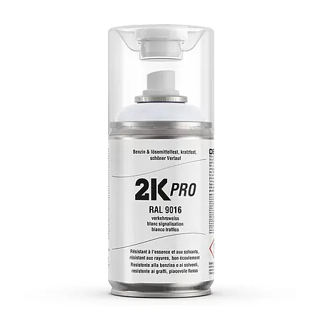 2K Pro  Farbspray 2 Komponenten Sprühfarbe 250ml RAL9016 Verkehrsweiss Glanz