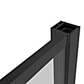 Sanotechnik Tuš stena fiksni del Slim Line  (100 x 200 cm, Debelina: 6 mm, Črna) | Tuš stene | Tuš kabine | Tuširanje | Kopalnica in sanitarije | Izdelki | BAUHAUS