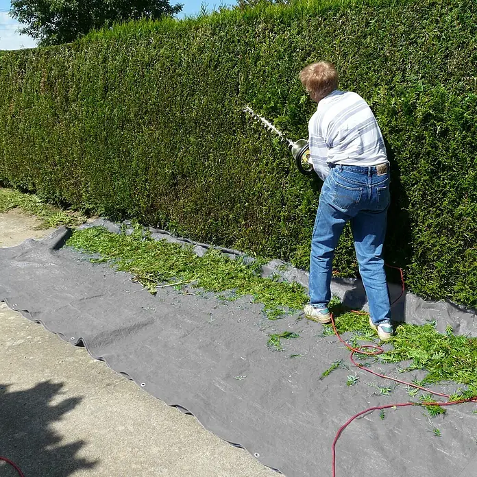 ECD Germany Abdeckplane Gartenplane 260g/m² mit Ösen Reißfeste Regenplane Polyethylen - L x B: 600 x 400 cm, 260 g/m², Kunststoff - Person schneidet eine grüne Hecke mit einer elektrischen Heckenschere, Schnittgut fällt auf eine graue Plane.