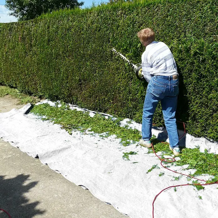 ECD Germany Abdeckplane Gartenplane 260g/m² mit Ösen Reißfeste Regenplane Polyethylen - L x B: 600 x 400 cm, 260 g/m², Kunststoff - Person schneidet eine grüne Hecke mit einer elektrischen Heckenschere, darunter liegt eine weiße Plane für den Schnitt.