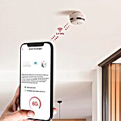 Simonrack Ecofire Detector de humo Smart (Diámetro: 78 cm, Duración de batería: 1 años, Señal de alarma: 85 dB) | BAUHAUS