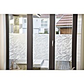 D-c-fix Static Premium Glasfolie, per meter (Breedte: 90 cm, Transparant, Statisch hechtend)