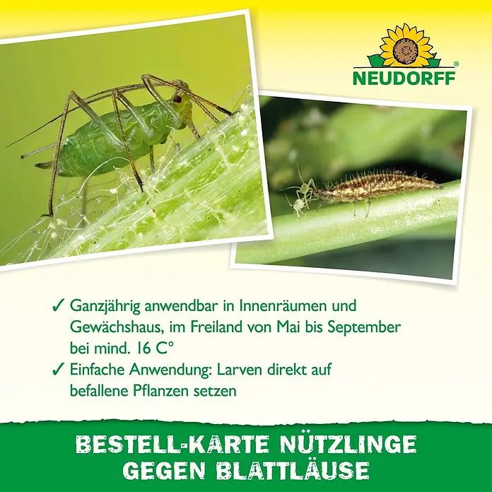 Neudorff Bestellkarte Nützlinge - Blattläuse, Max. Anwendungsfläche: 10 m² - Bestellkarte für Nützlinge gegen Blattläuse, mit Bildern einer Blattlaus und einer Florfliegenlarve sowie Anwendungshinweisen.