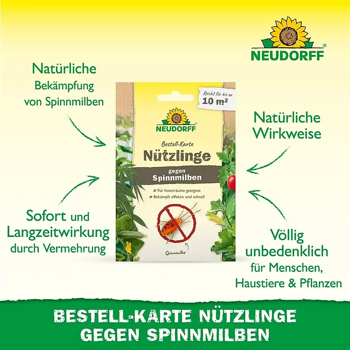 Neudorff Bestellkarte Nützlinge - Spinnmilben, Max. Anwendungsfläche: 10 m² - Neudorff Bestellkarte für Nützlinge gegen Spinnmilben. Gelbe Karte zeigt eine durchgestrichene rote Spinnmilbe für natürliche Schädlingsbekämpfung.