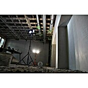 Profi Depot Proyector de LED (Negro, Con trípode, 50 W, IP54)