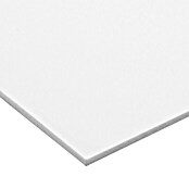 Vetronova Placa de foam (100 cm x 50 cm x 3 mm, Blanco)