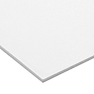 Vetronova Placa de foam (200 cm x 100 cm x 3 mm, Blanco)