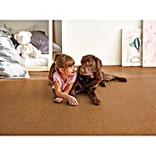 Corklife Korkboden Studiostyle Beja (905 x 295 x 10,5 mm)