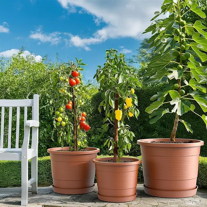 Plastard Pflanztopf Terra 3er Set Ø54 cm mit Untersetzer Terrakotta – Blumentopf - Außenmaß (Ø x H): 54 x 45,5 cm, Kunststoff, Terrakotta - Drei braune Kunststoff-Pflanzgefäße in verschiedenen Größen mit Untersetzern, für Tomaten, Paprika und Feigenpflanzen.