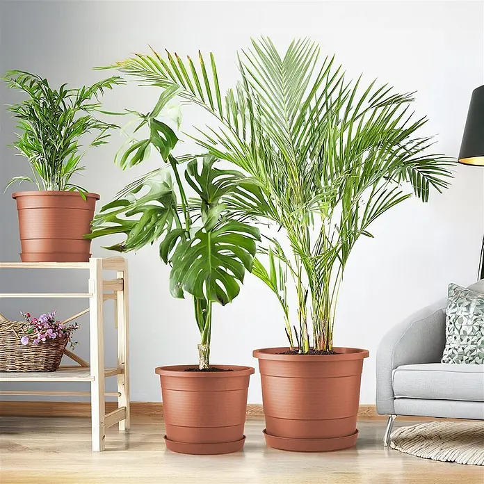 Plastard Pflanztopf Terra 3er Set Ø54 cm mit Untersetzer Terrakotta – Blumentopf - Außenmaß (Ø x H): 54 x 45,5 cm, Kunststoff, Terrakotta - Braune Kunststoff-Pflanztöpfe in verschiedenen Größen, mit grünen Pflanzen in einem Wohnzimmer.