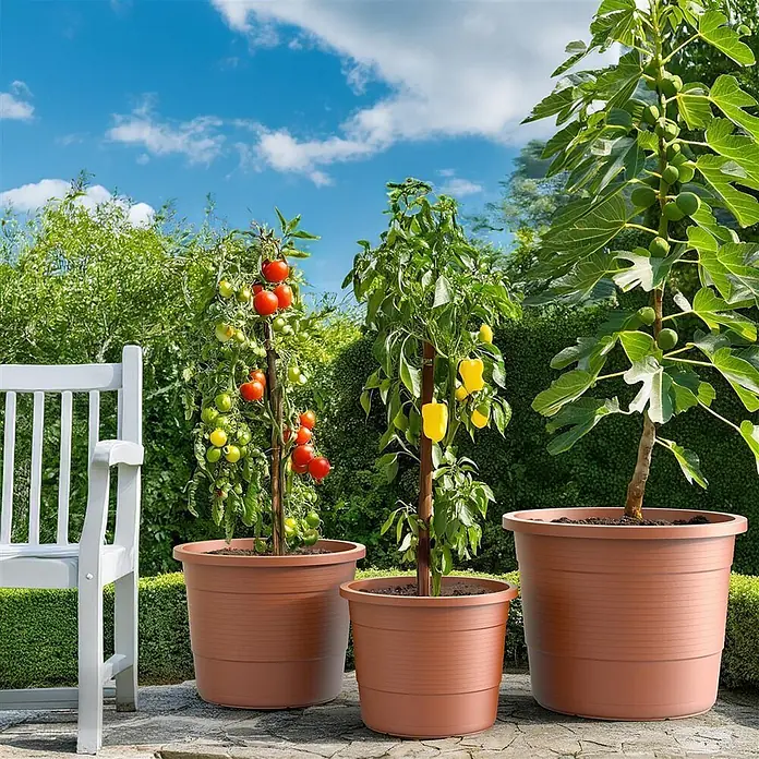 Plastard Pflanztopf Terra 3er Set Ø54 cm in Terrakotta – Blumentopf - Außenmaß (Ø x H): 54 x 45,5 cm, Kunststoff, Terrakotta - Drei gerippte braune Kunststofftöpfe unterschiedlicher Größe mit Tomaten-, Paprika- und Feigenpflanzen auf einer Terrasse.