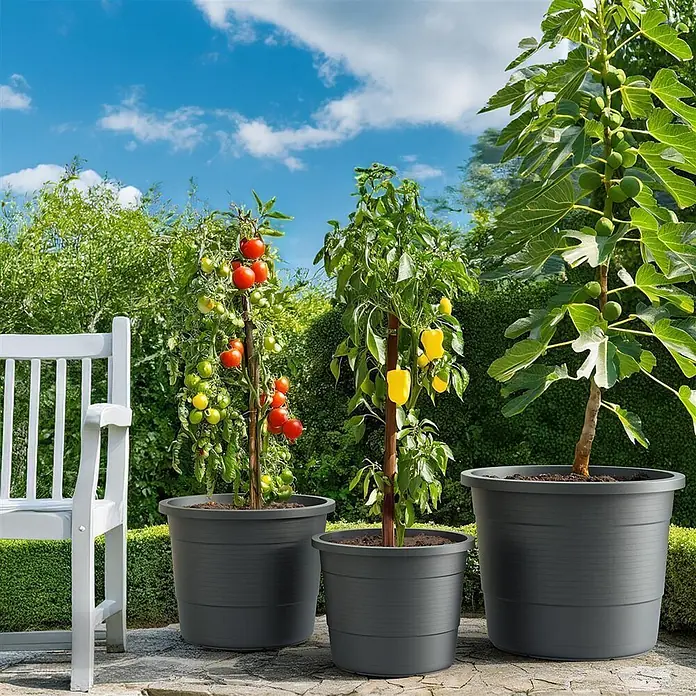 Plastard Pflanztopf Terra 3er Set Ø46 cm in Anthrazit – Blumentopf - Außenmaß (Ø x H): 46 x 36 cm, Kunststoff, Anthrazit - Drei graue Kunststoff-Pflanzkübel in verschiedenen Größen mit Tomaten-, Paprika- und Feigenpflanzen auf einer Terrasse.