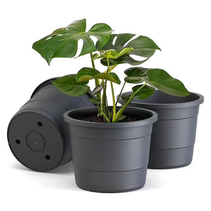 Plastard Pflanztopf Terra 3er Set Ø46 cm in Anthrazit – Blumentopf - Außenmaß (Ø x H): 46 x 36 cm, Kunststoff, Anthrazit - Drei dunkelgraue Pflanztöpfe aus Kunststoff, einer mit einer Monstera-Pflanze, einer leer und einer mit Drainagelöchern.