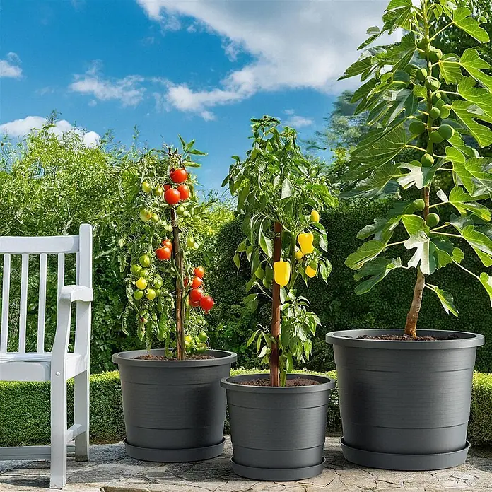 Plastard Pflanztopf Terra 3er Set Ø35 cm mit Untersetzer Anthrazit – Blumentopf - Außenmaß (Ø x H): 35 x 27 cm, Kunststoff, Anthrazit - Drei graue Pflanzgefäße mit Untersetzern und Pflanzen im Garten.