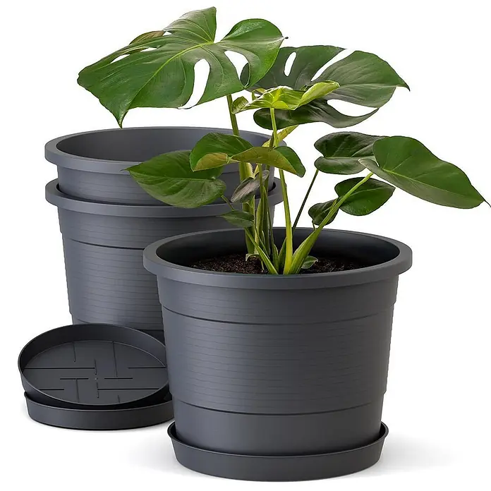 Plastard Pflanztopf Terra 3er Set Ø35 cm mit Untersetzer Anthrazit – Blumentopf - Außenmaß (Ø x H): 35 x 27 cm, Kunststoff, Anthrazit - Dunkelgraue Kunststoff-Pflanztöpfe mit Rillenstruktur und passende Untersetzer, einer mit grüner Pflanze.
