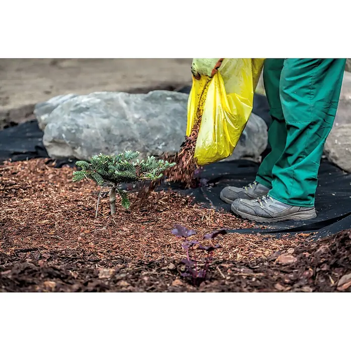Aquagart Bodenschutzvlies 100m² 150g/m² 1m Gartenvlies Unkrautvlies -  - Ein Gärtner verteilt Rindenmulch aus einem gelben Sack um eine kleine immergrüne Pflanze auf schwarzem Gartenvlies.