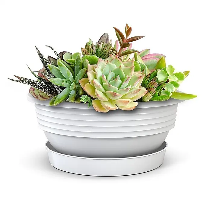 Plastard Pflanzschale rund Milano 3er Set mit Untersetzer in Weiß – Blumenschale - Außenmaß (Ø x H): 45 x 16 cm, Kunststoff, Weiß - Weißer gestufter Pflanztopf mit Untersetzer, gefüllt mit verschiedenen grünen und bunten Sukkulenten.