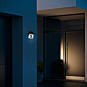 Steinel XSolar Número de casa solar (0,03 W, Acero inoxidable/plástico, IP44, Antracita)
