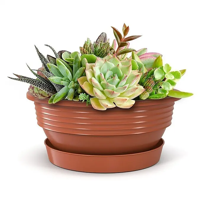 Plastard Pflanzschale rund Milano 3er Set mit Untersetzer in Terrakotta – Blumenschale - Außenmaß (Ø x H): 45 x 16 cm, Kunststoff, Terrakotta - Terrakottafarbener Kunststofftopf mit passender Untertasse, gefüllt mit einer lebhaften Anordnung verschiedener grüner und rötlicher Sukkulenten.
